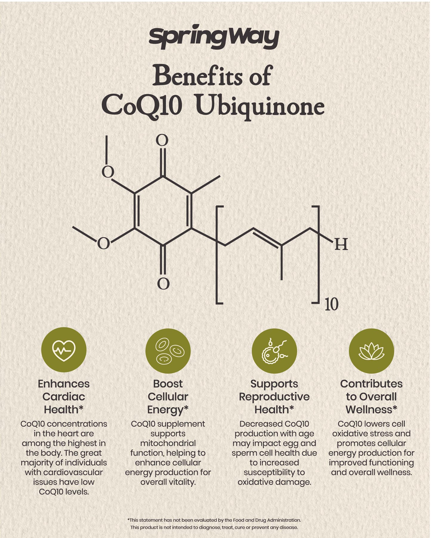 CoQ10 Ubiquinone