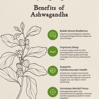 Spring Way Organic Ashwagandha with Black Pepper - 60 Capsules