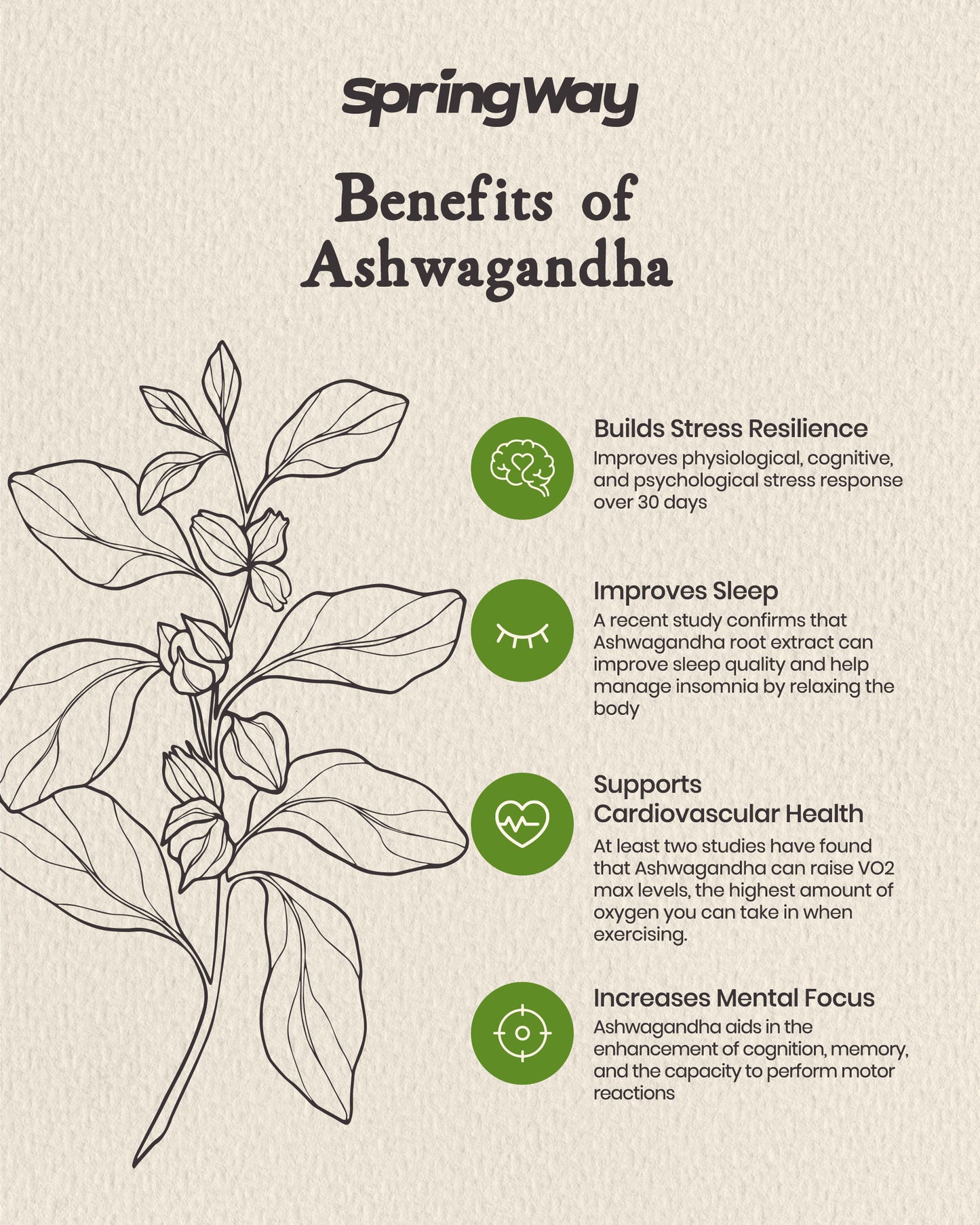 Spring Way Organic Ashwagandha with Black Pepper - 60 Capsules